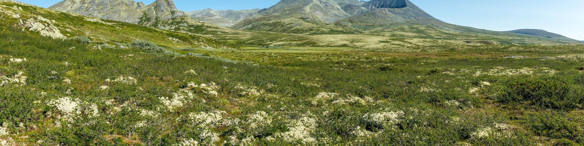 Nationalpark Rondane
