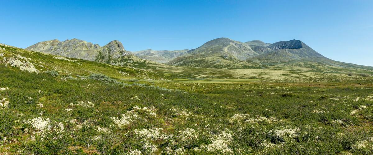 A mountainous landscape with green vegetation and rocky terrain.