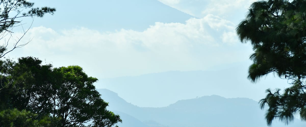 A mountain with a forested foreground and a clear sky.