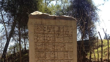 Mayan writings
