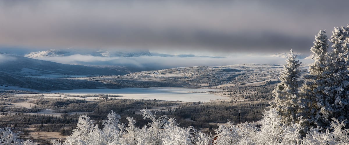 A snowy landscape with a lake, mountains, and frost-covered trees.