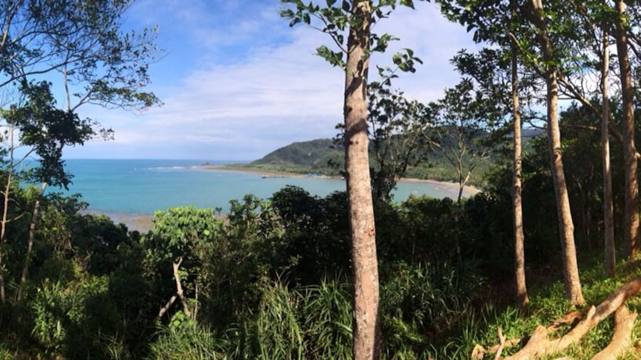 Overlooking the beach at Ermita Hill. This hill was the refuge of people when a tsunami strike on December 1735. #beach #nature #panorama #philippines #baler #scenicbeauty