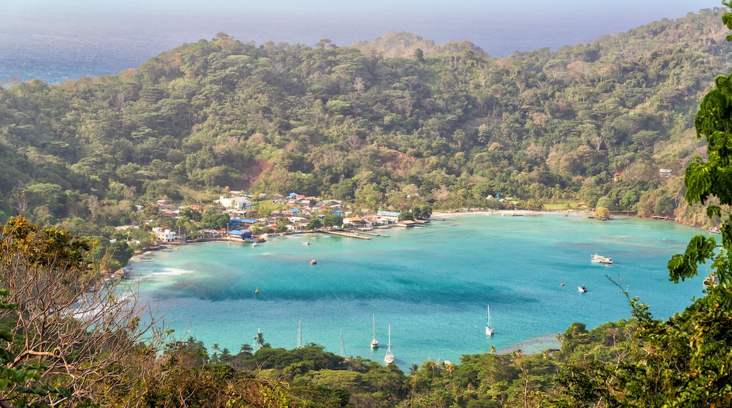 Las Escobas del Venado