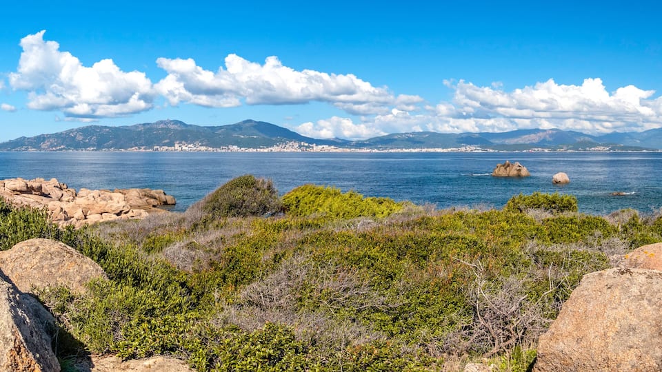 A coastal landscape with rocky outcrops, dense greenery, and a distant cityscape under a clear blue sky.