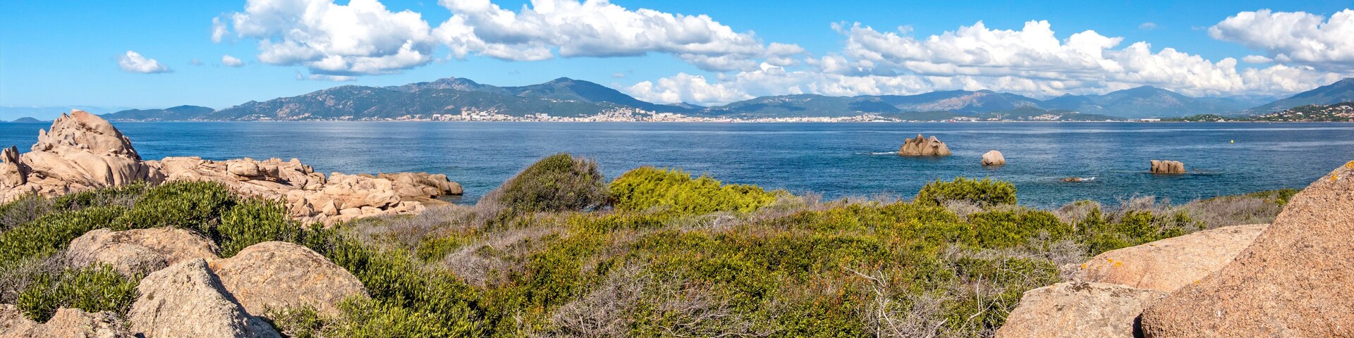 Un paisaje costero con afloramientos rocosos, abundante vegetación y una ciudad lejana bajo un cielo azul despejado.