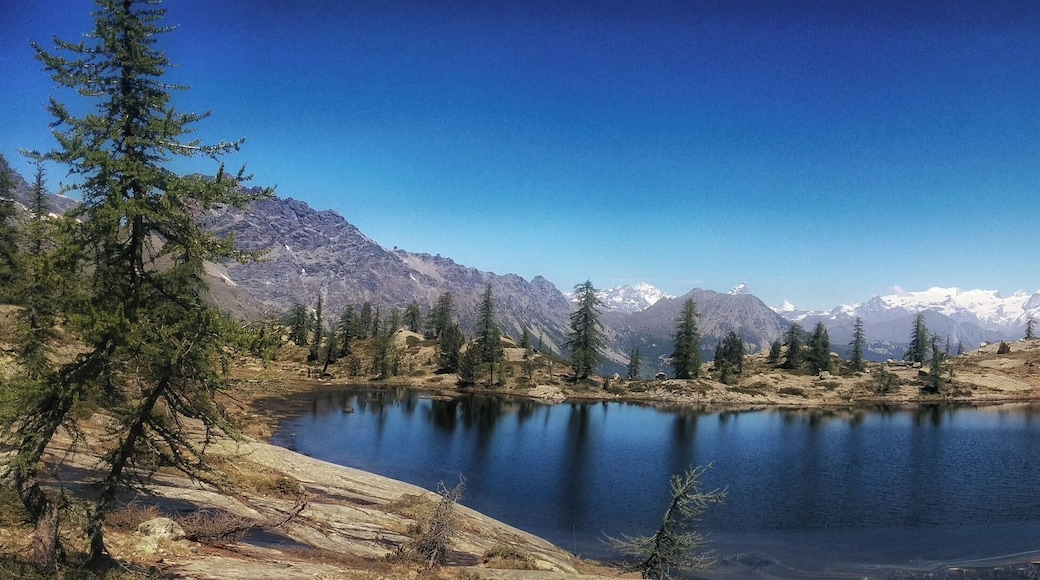 Parco naturale del Mont Avic (Q3364601)