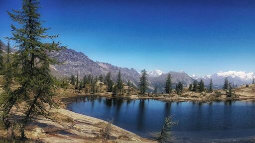 Parco naturale del Mont Avic (Q3364601)