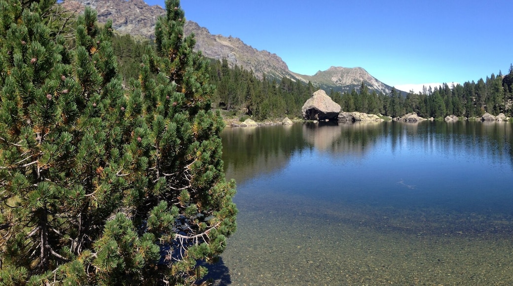 Parco naturale del Mont Avic (Q3364601)