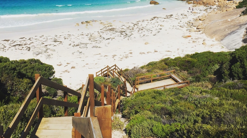 The aptly named Blue Haven Beach, Esperance. Anyone who has visited can contest for the unrivalled blue hues, I personally think Esperance has the best water in the world.
"#Blue"