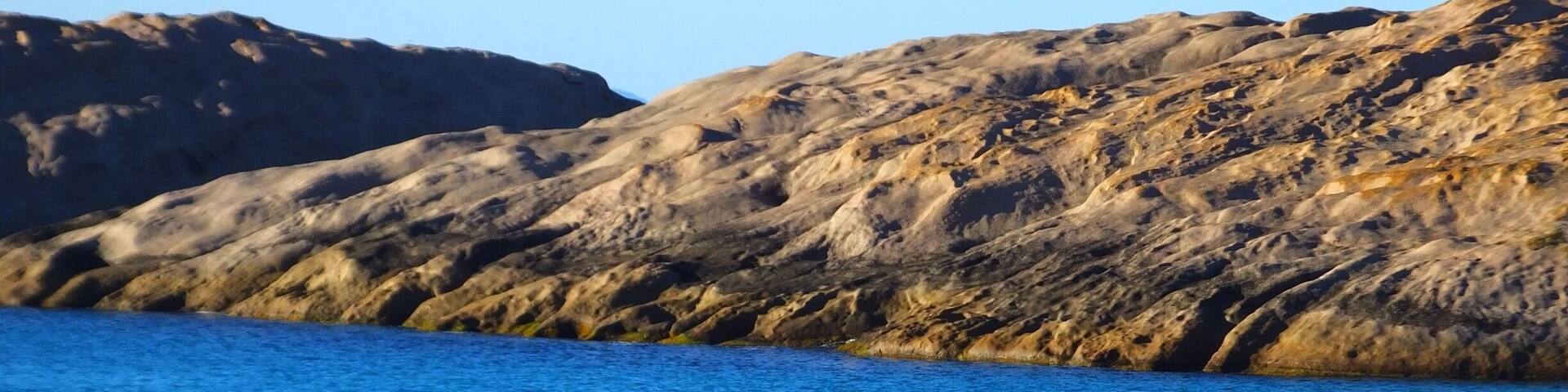 A dolphin leaping out of the water near rocky cliffs.