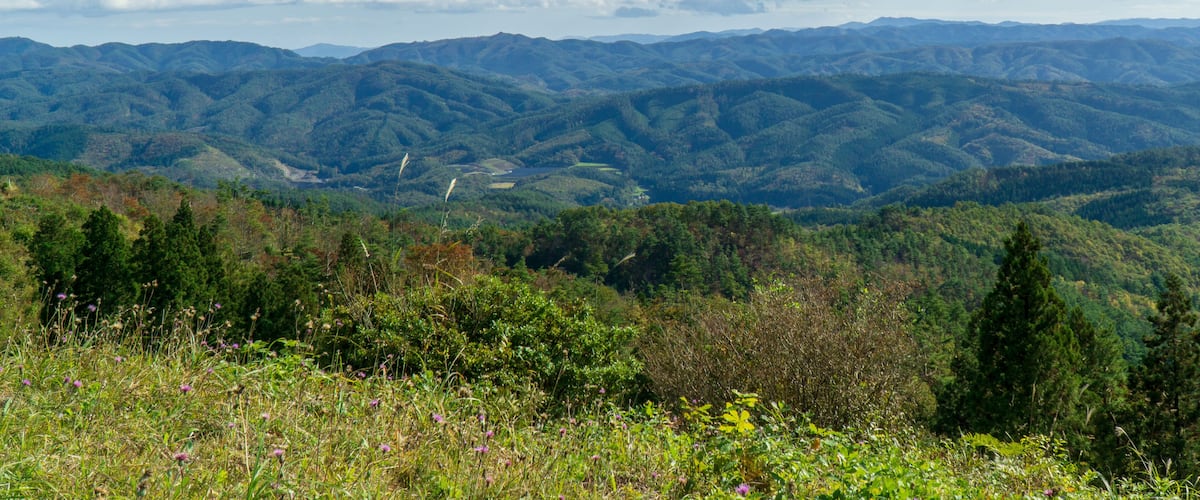 Views from the top of Mt Kogaisan, in Tome, a small town in rural Japan