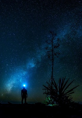 This is my most epic self-portrait, so far:
Contemplating the Milky Way, standing all alone on top of El Henequén—one of the many ancient mayan temples you'll find along the way to El Mirador—surrounded by monkeys, fireflies and an ocean of trees.
No wonder why our ancestors looked up into the sky and thought of mighty gods.