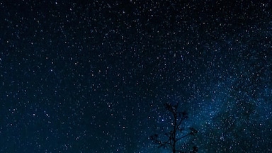 This is my most epic self-portrait, so far:
Contemplating the Milky Way, standing all alone on top of El Henequén—one of the many ancient mayan temples you'll find along the way to El Mirador—surrounded by monkeys, fireflies and an ocean of trees.
No wonder why our ancestors looked up into the sky and thought of mighty gods.