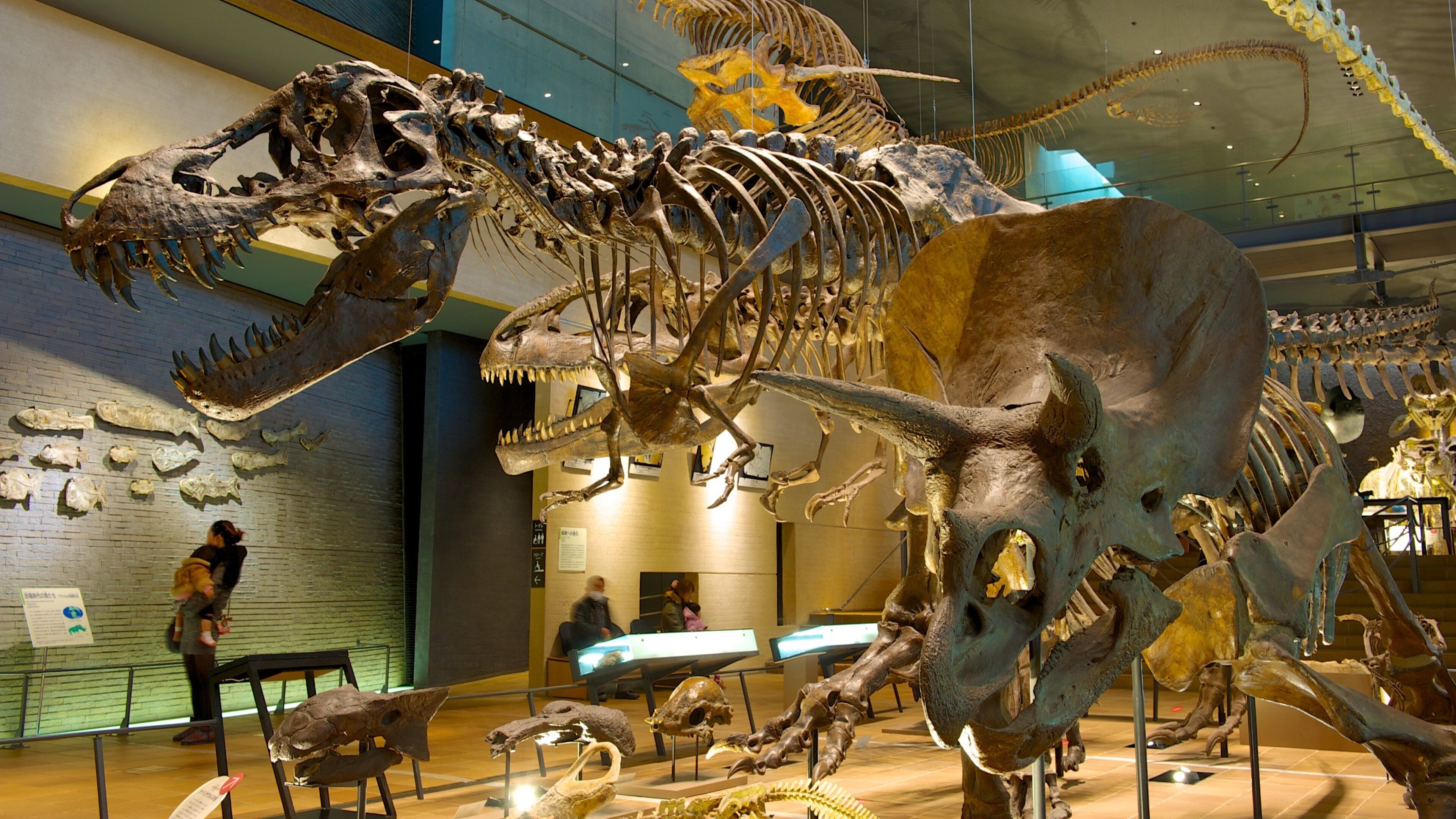 Yahatahigashi showing interior views