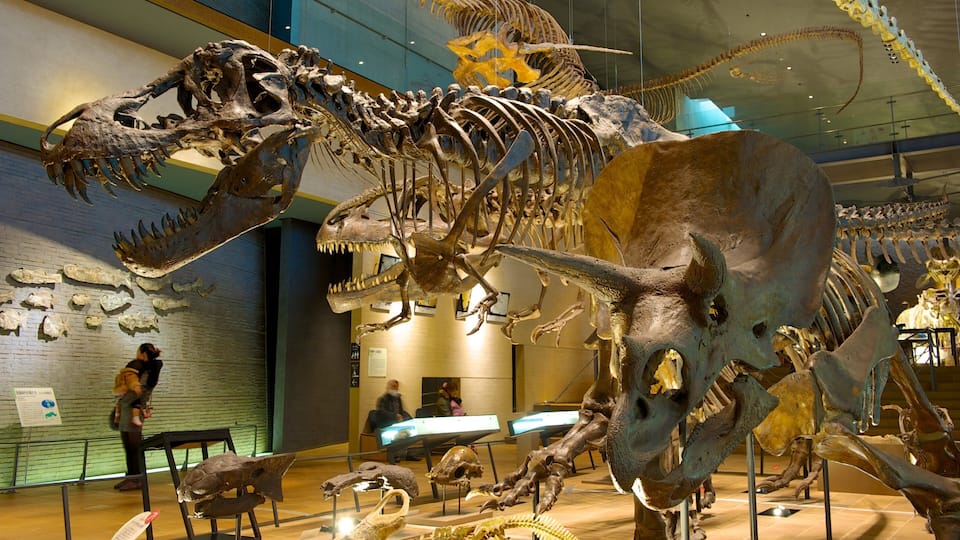 Yahatahigashi showing interior views