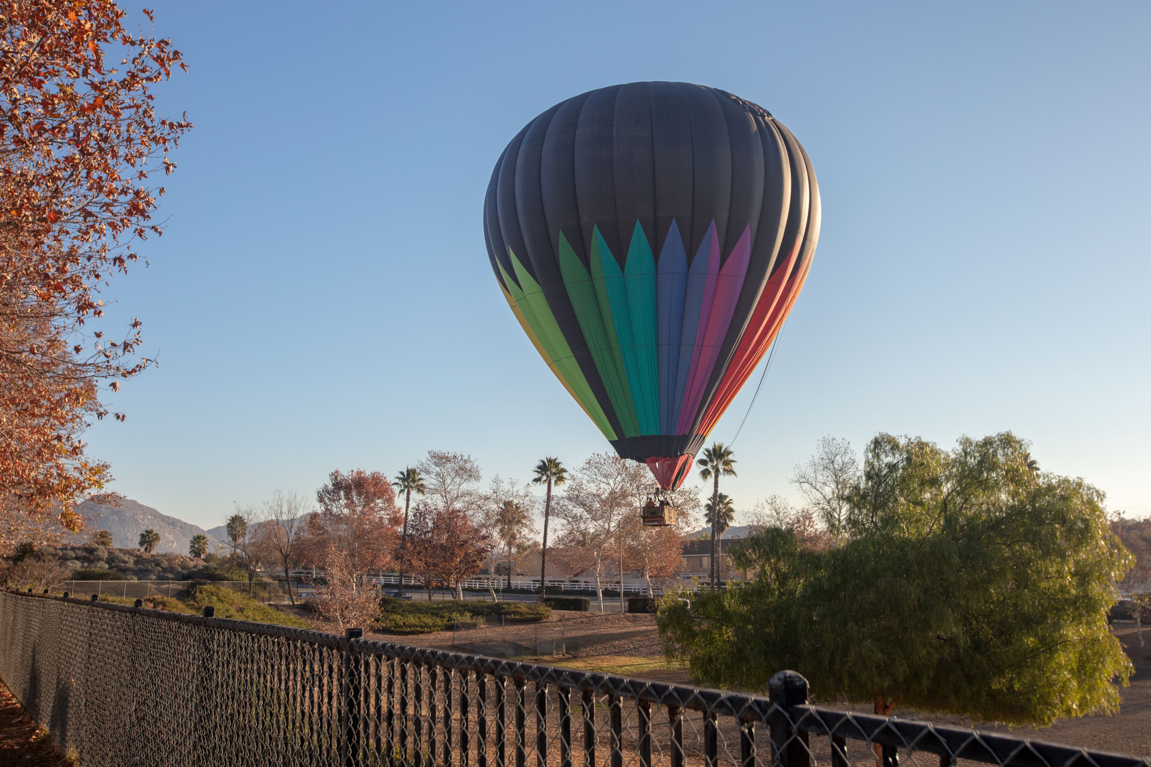 Hot air balloon soft landing in park in the early morning golden hour over the Temecula Valley in southern California United States