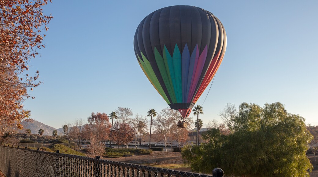 Hot air balloon soft landing in park in the early morning golden hour over the Temecula Valley in southern California United States
