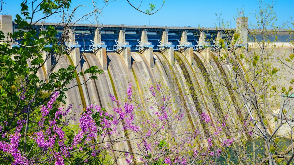 A dam with water gates and flowering trees in the foreground.