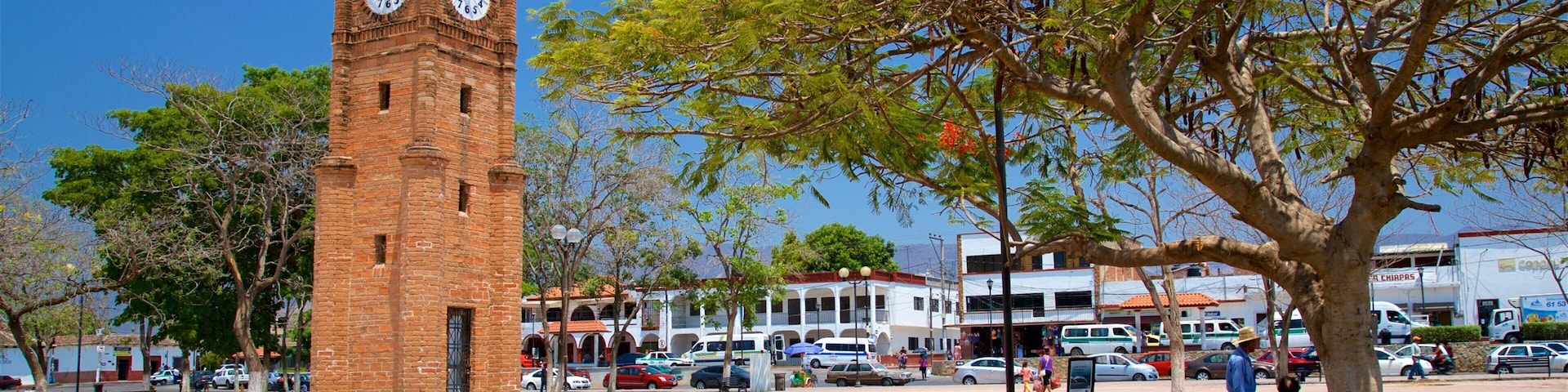 Chiapa De Corzo showing a garden and heritage architecture