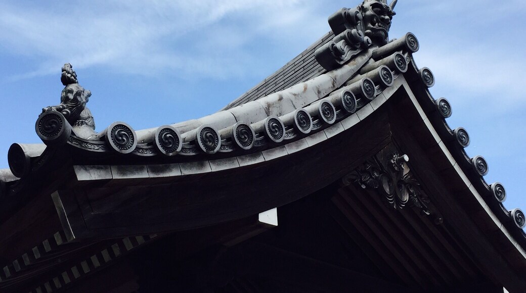 Another interesting roof top of a temple near Gion.