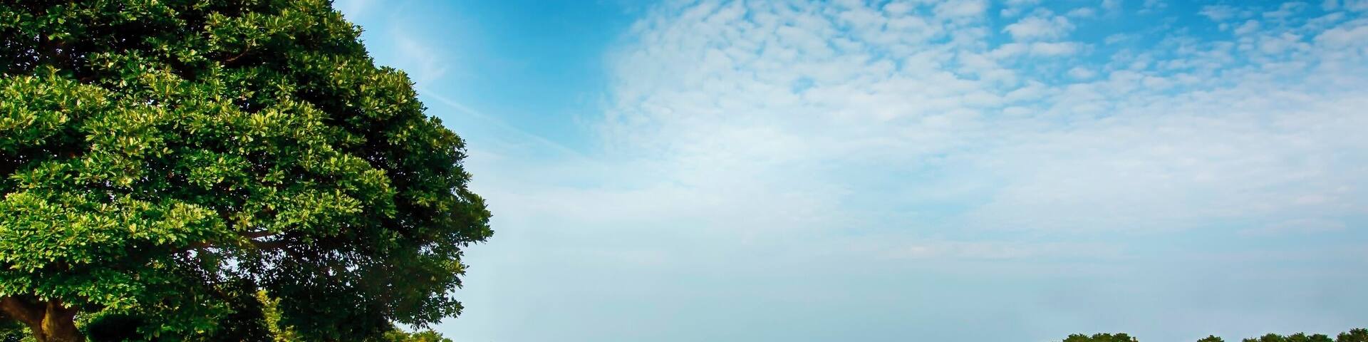 Nokonoshima Island, otherwise known as Flower Island is a short trip by ferry from Fukuoka. The island is covered in colourful flowers, like something out of a Studio Ghibli film. The ideal time to visit is Spring #TroveOn #Japan #Fukuoka #Nokonoshima #flower #traveltips @Visit_Japan @Japanesquest @Japan_travel_JP