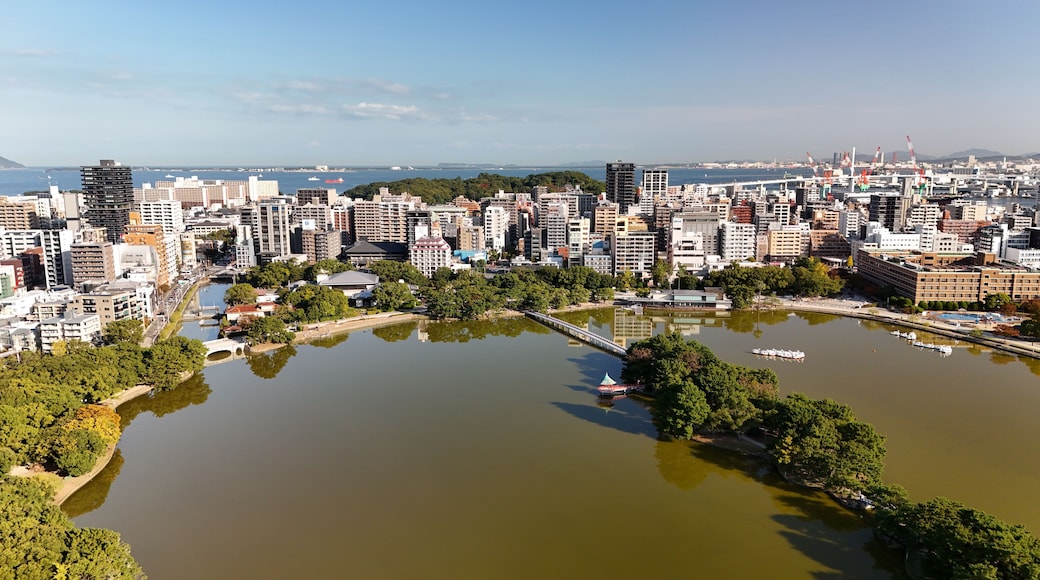Fukuoka City, Kyushu, Japan –Aerial Drone View of City Skyline, CBD, Ohori Park, Maizuru Park, Urban Lakes, Autumn Trees, Harbour, Port Area, Modern High-Rise Architecture, Houses and Apartments