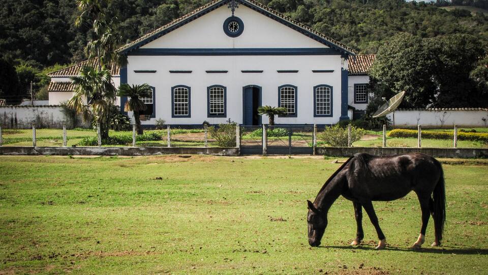 A white building with a black roof and a circular window, surrounded by a grassy field and trees.