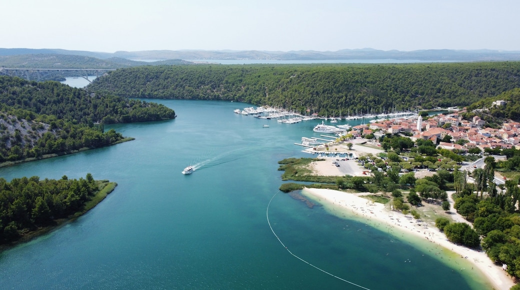 สกราดิน