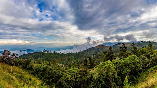 PICO DO ITAPEVA - CAMPOS DO JORDÃO - SÃO PAULO - BRASIL