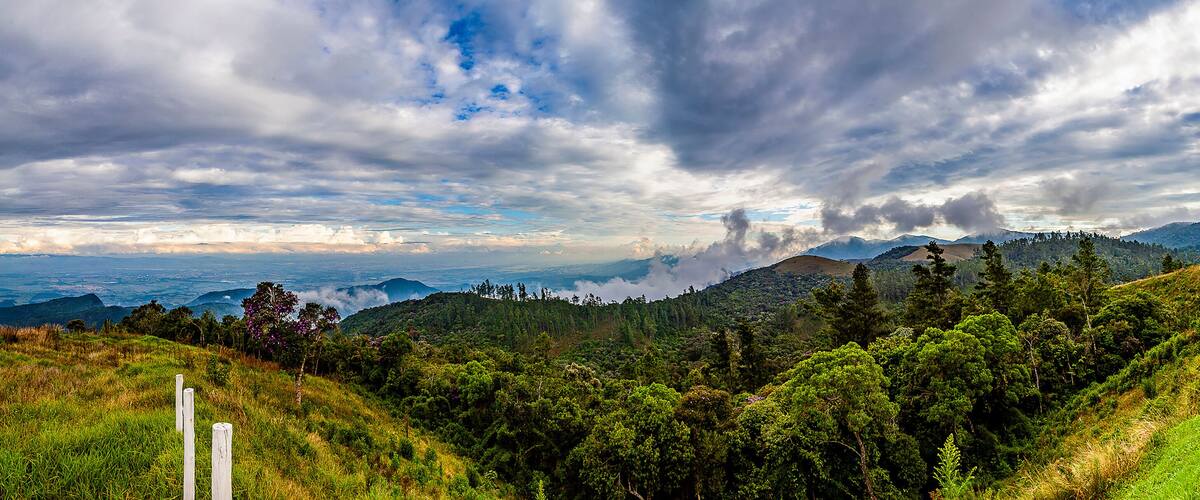A mountainous landscape with a wooden signpost, dense forest, and a view of distant hills under a cloudy sky.