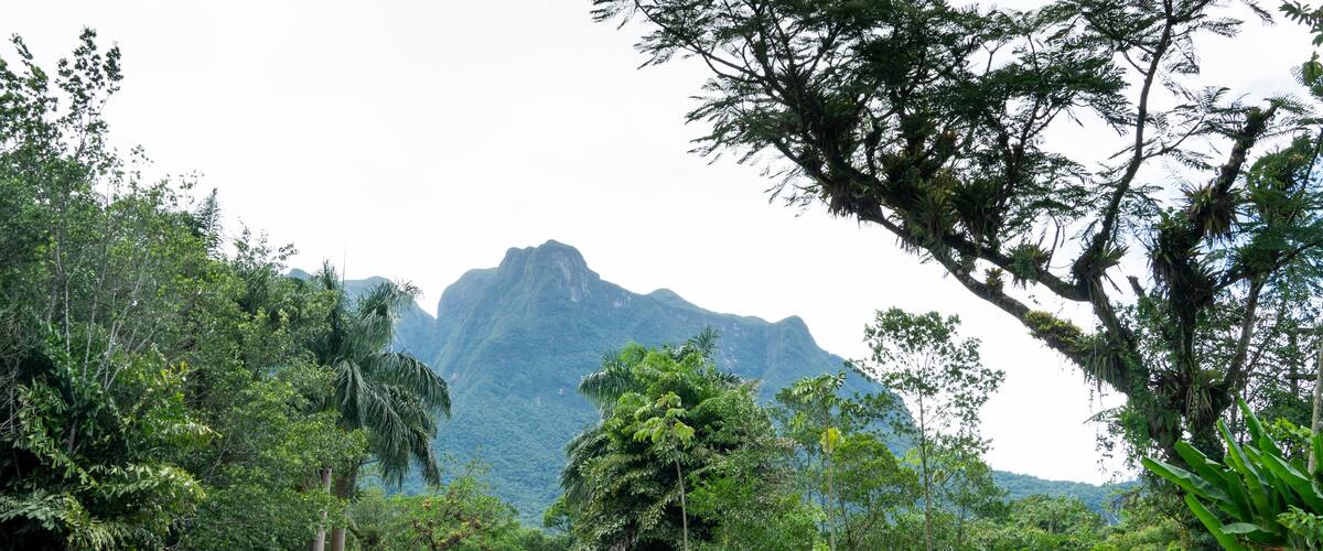A winding road through a lush, green landscape with dense foliage and a prominent mountain in the background.