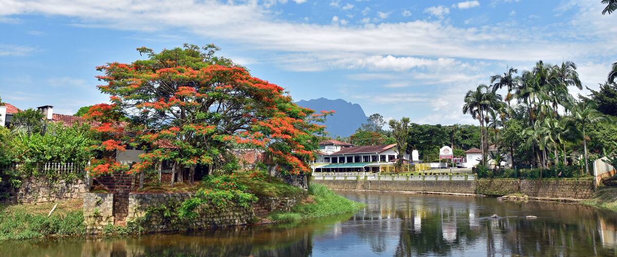 A river with a tree with red flowers, a building with a sign, and mountains in the background.