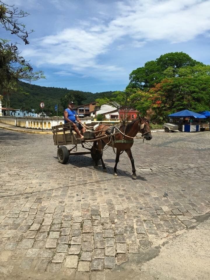 Litoral Paraná.

#TroveOnTuesday