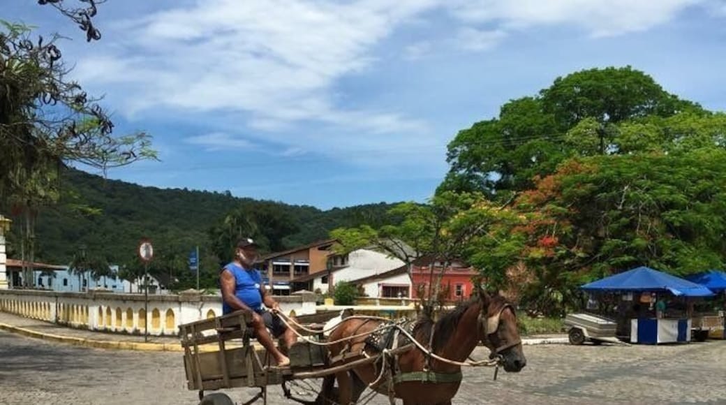 Litoral Paraná.
#TroveOnTuesday