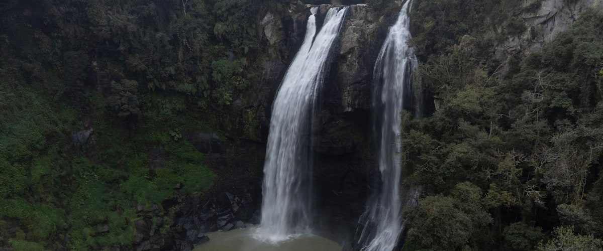 A waterfall cascading into a pool surrounded by dense forest.