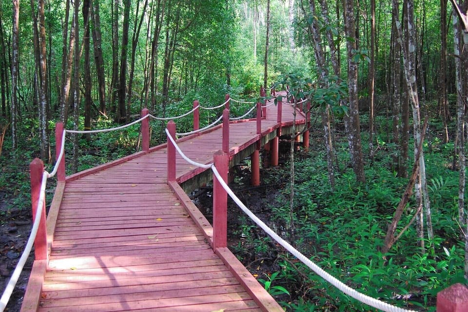 Un puente de madera en un bosque.
