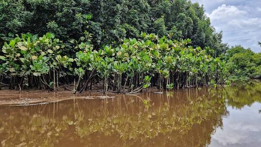 ์ด๊ฐ๋ผํ