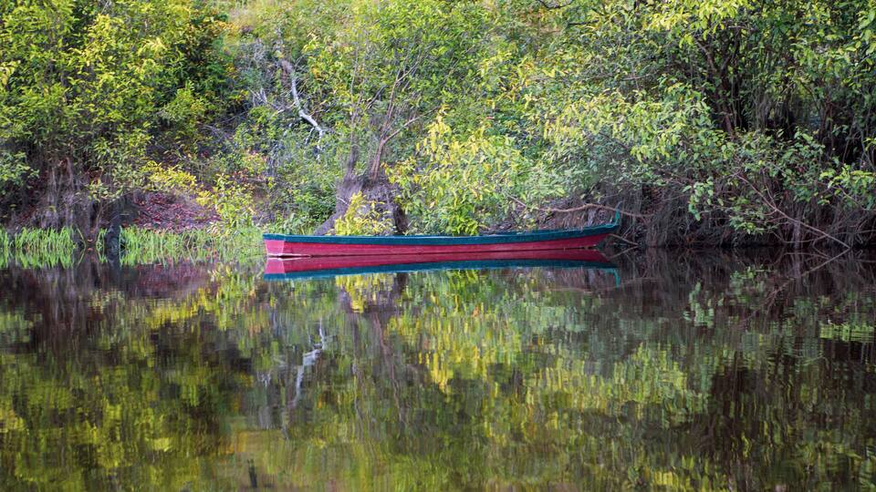 A red and blue boat on a calm lake surrounded by dense greenery.