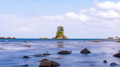 A rocky shoreline with a prominent tree-covered island in the center.