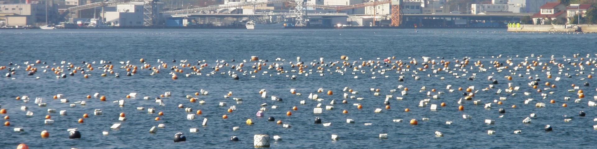 気仙沼魚市場Kesennuma-uoichiba