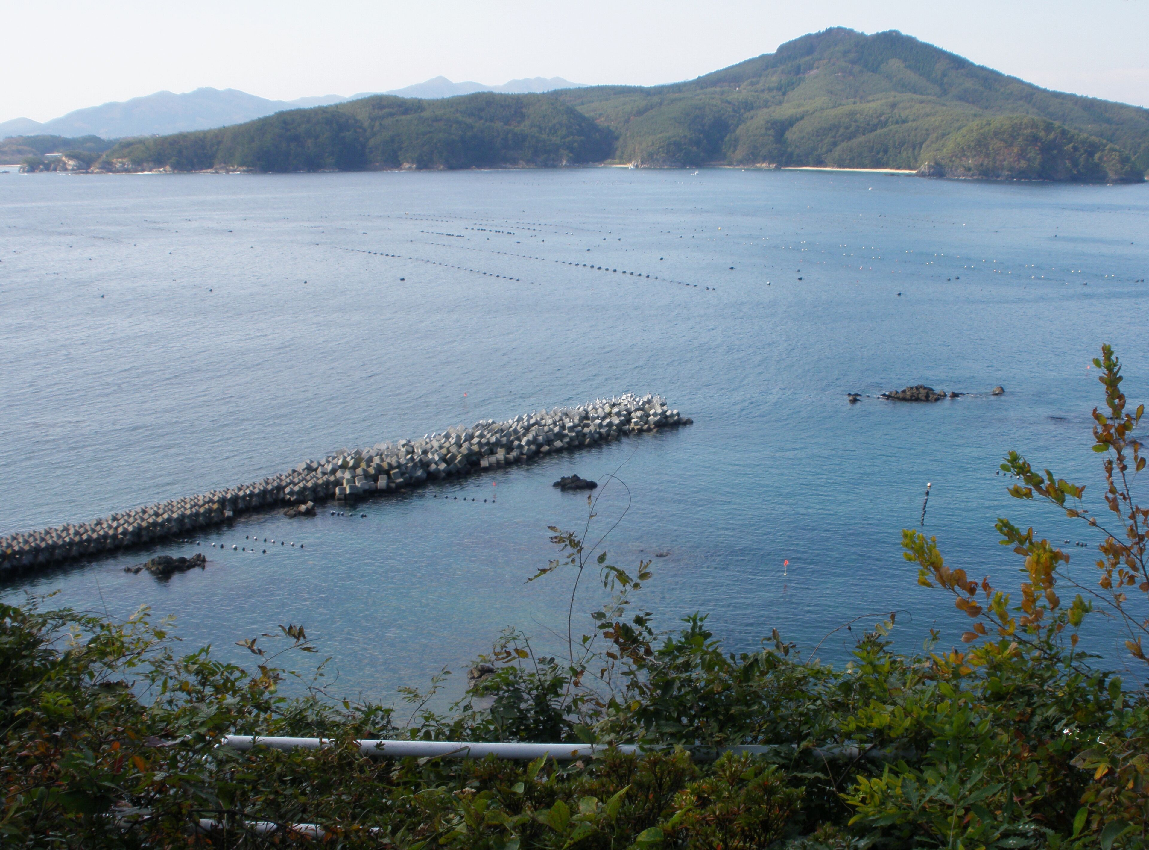 O-shima island seen from the Karakuwa Peninsula in Kesennuma City, Miyagi Prefecture, Japan, looking westward (map)