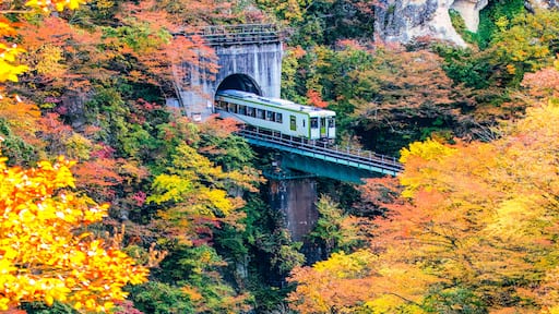 Train with Colourful Maple Trees on Hillside of Naruko Gorge in Autumn, Miyagi, Japan