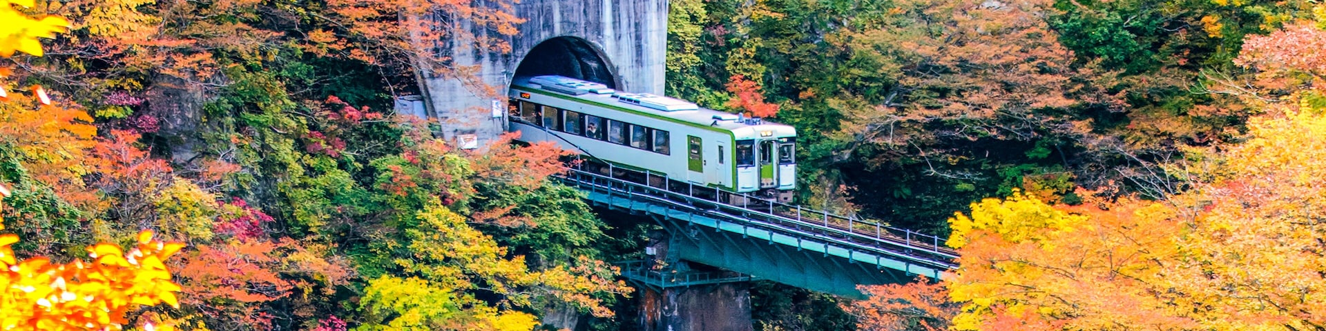Train with Colourful Maple Trees on Hillside of Naruko Gorge in Autumn, Miyagi, Japan