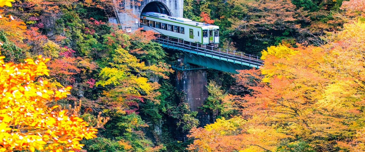 A train on a bridge through a forest with autumn foliage.