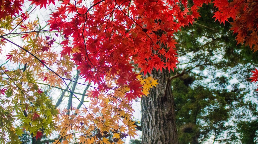 How do you shine amongst the many.. ironically the colour of anger and love #Red