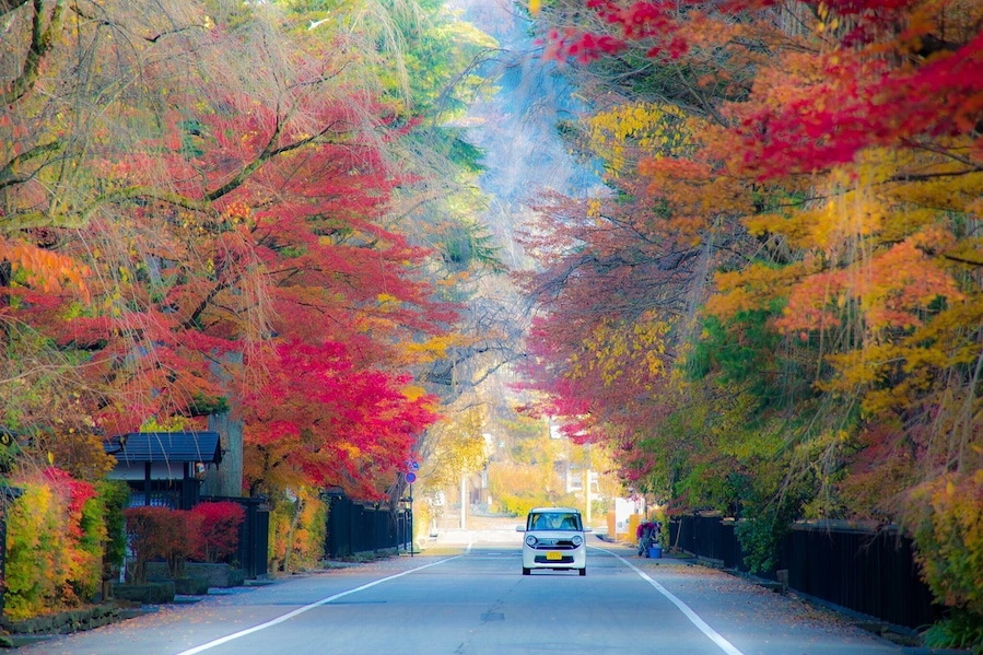 A road flanked by trees with autumn foliage.