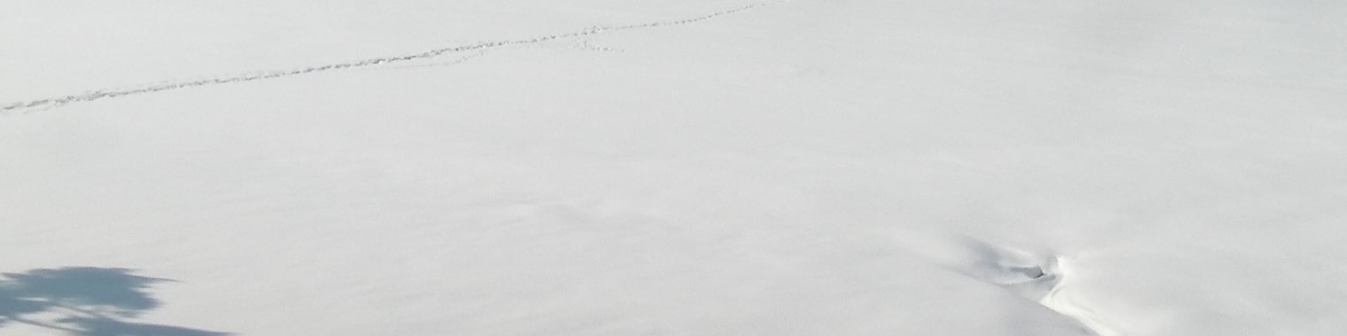 On east shore of Lake Tazawa, Japan looking southwest in late February