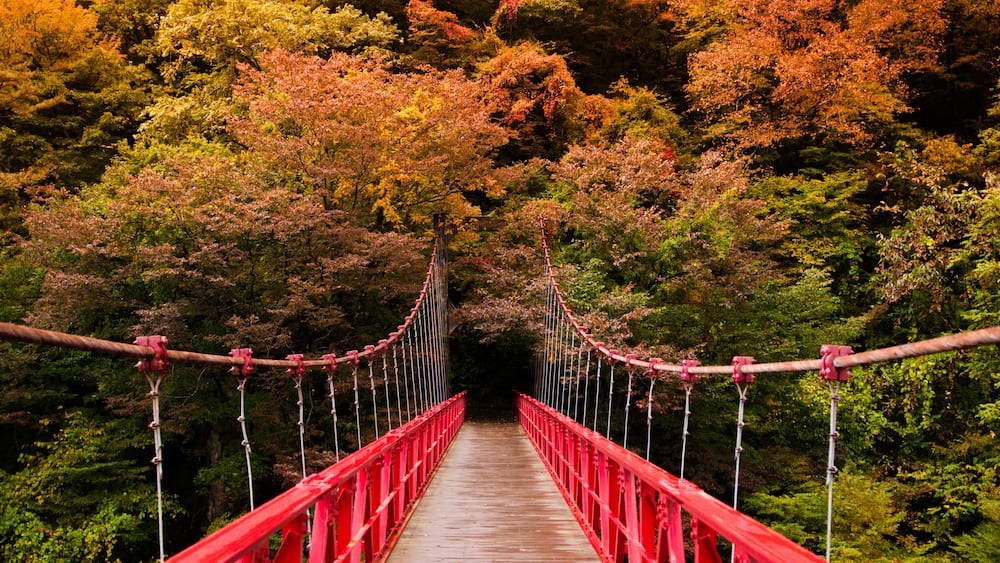 A red suspension bridge surrounded by autumn-colored trees.