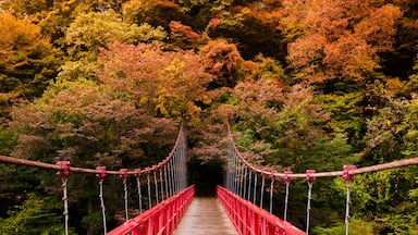 Red bridge, Kami No Iwahashi in Dakigaeri Valley - Senboku, Akita, Japan