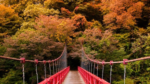 Senboku